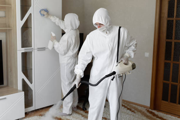 Best HVAC Mold Remediation in Suquamish, WA