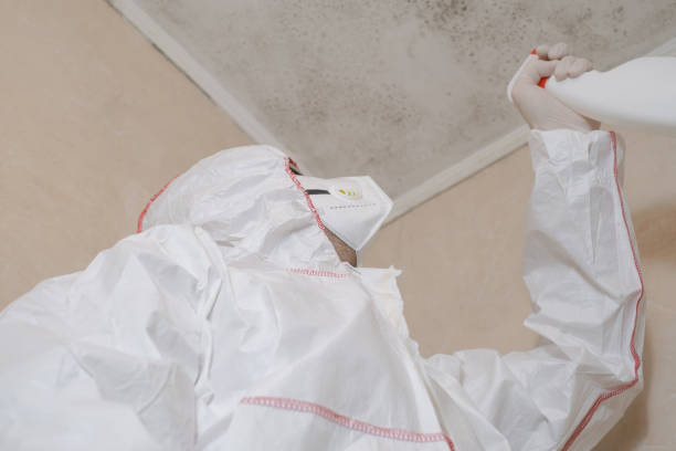 Best Health and Safety Mold Remediation in Suquamish, WA