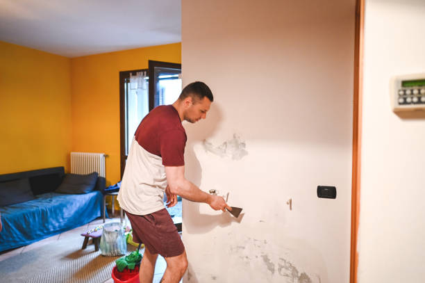 Best Commercial Mold Remediation in Suquamish, WA